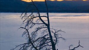 A sense of stillness